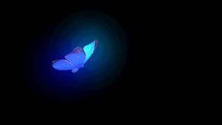 蓝色色发光光效蝴蝶元素GIF动态图蝴蝶光效元素